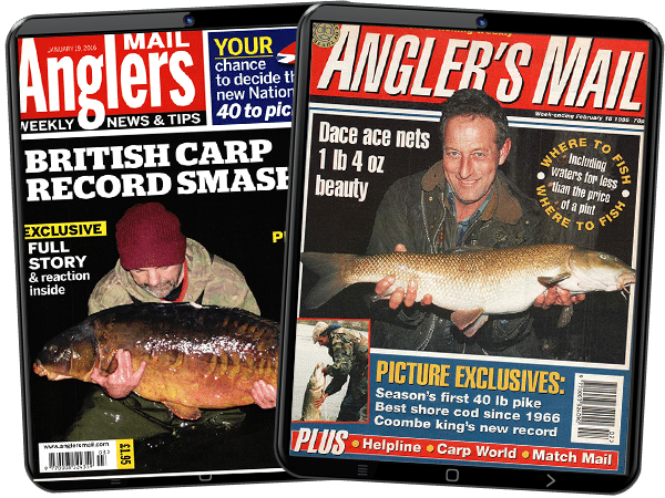 Angler's mail cheap
