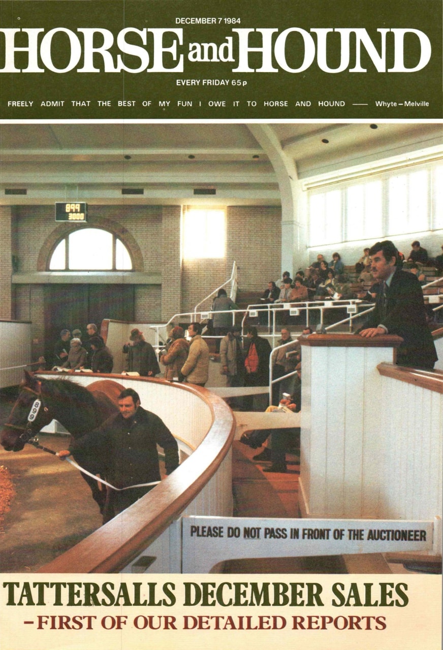 December 1984