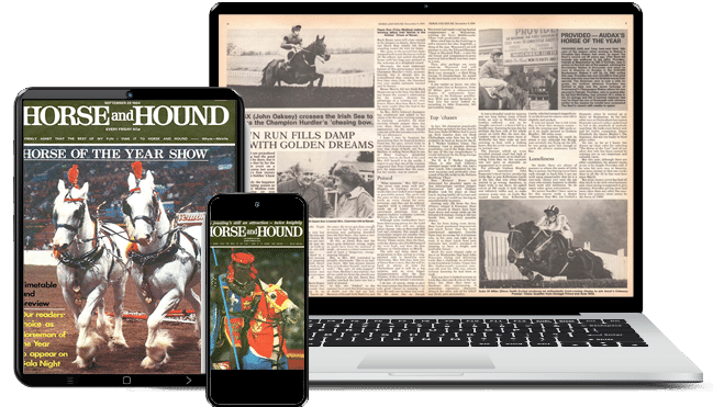 HorseHound Device Mock Up